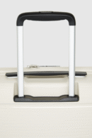 Linex 81cm Suitcase