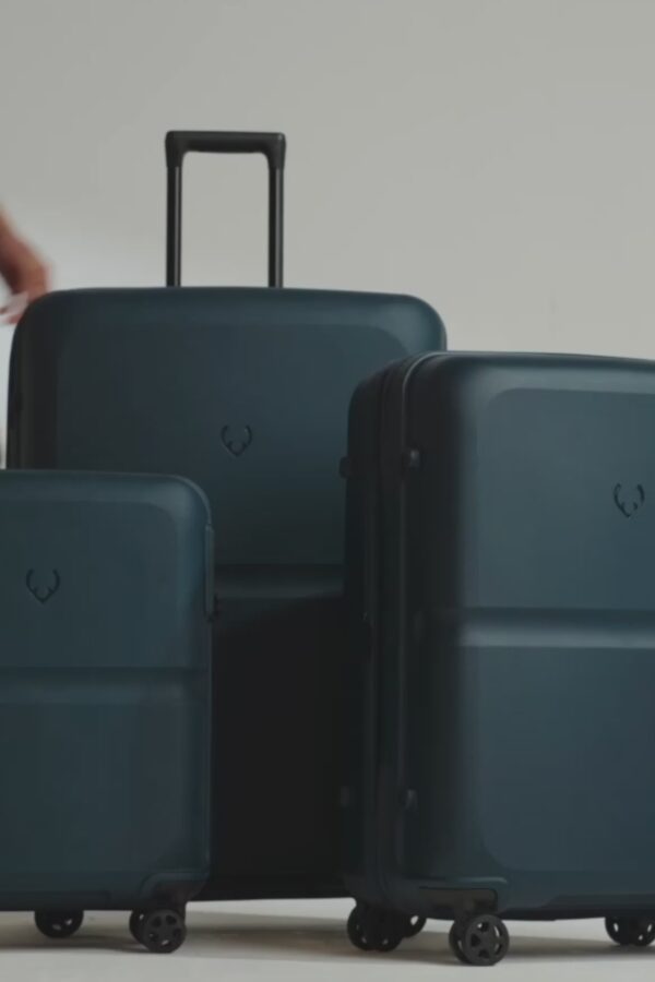 Single Stripe 81cm Suitcase - Image 2
